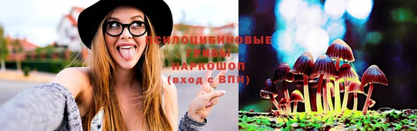 apvp Абаза