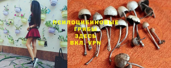 дмт Абдулино