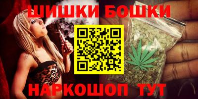 индика Рузаевка