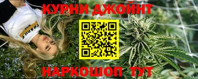 индика Рузаевка