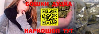 индика Рузаевка