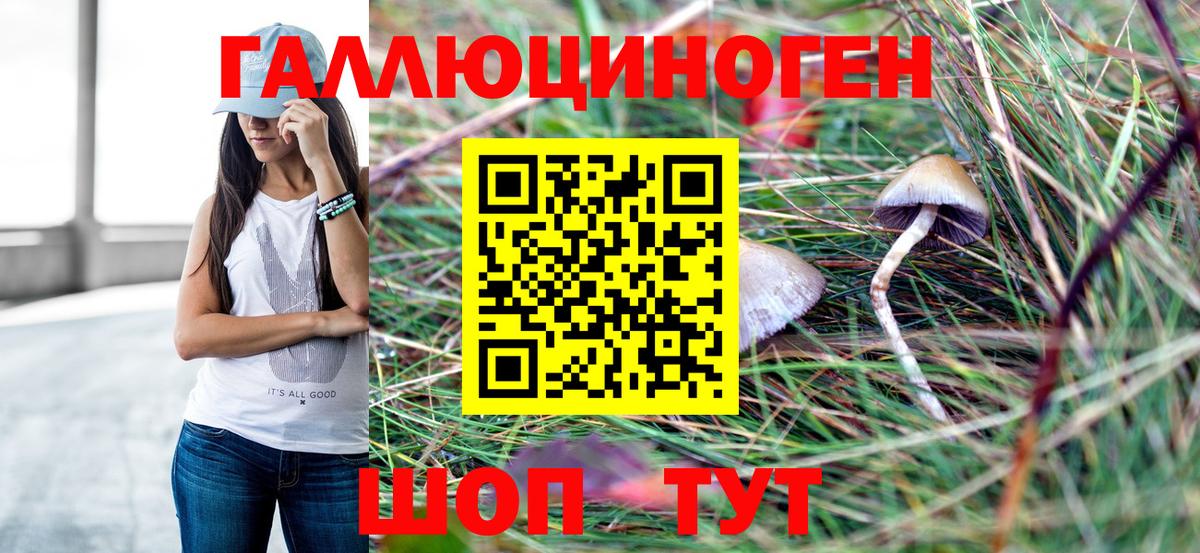 Галлюциногенные грибы Psilocybine cubensis Сочи