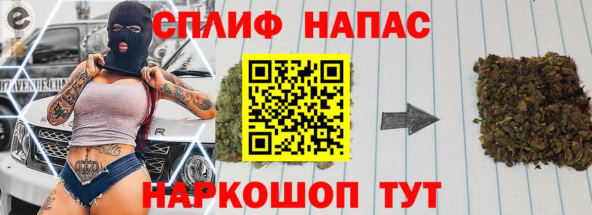 Бошки Шишки ГИДРОПОН Сочи